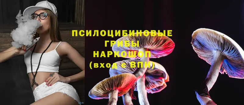 Псилоцибиновые грибы Magic Shrooms  Электрогорск 